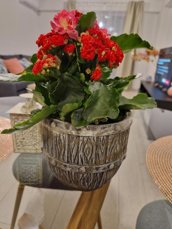 Teo Airport Residences Отопень Екстер'єр фото